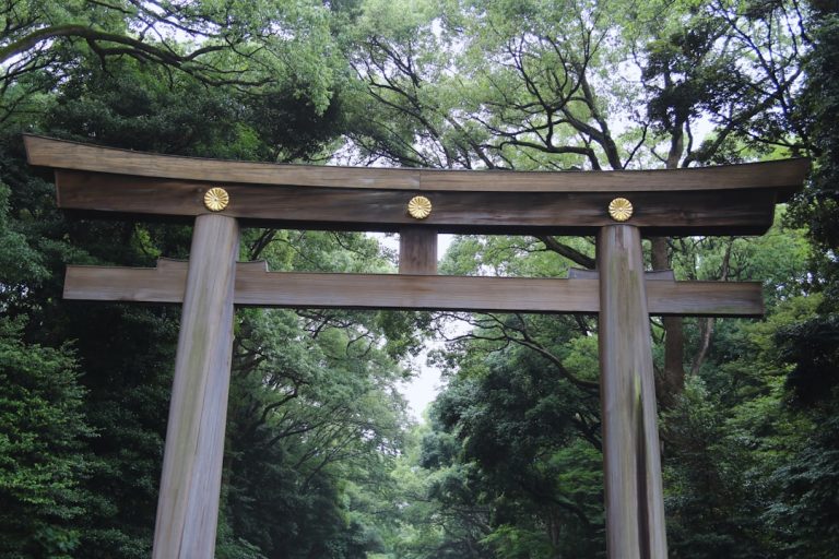 Inovação ou Excentricidade? 4 Tecnologias Japonesas que Desafiam o Senso Comum