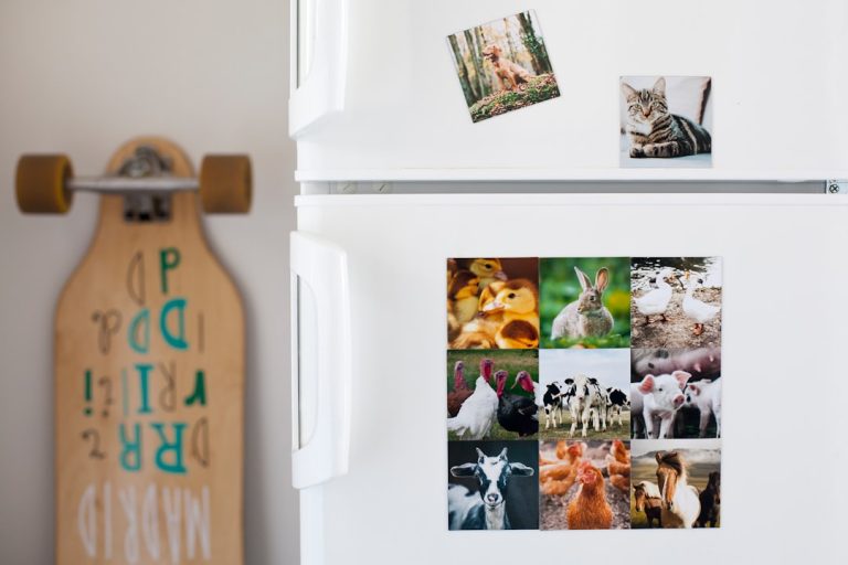 A Geladeira do Futuro: Conheça as ‘Polaroids Digitais’ que Nunca Precisam de Recarga