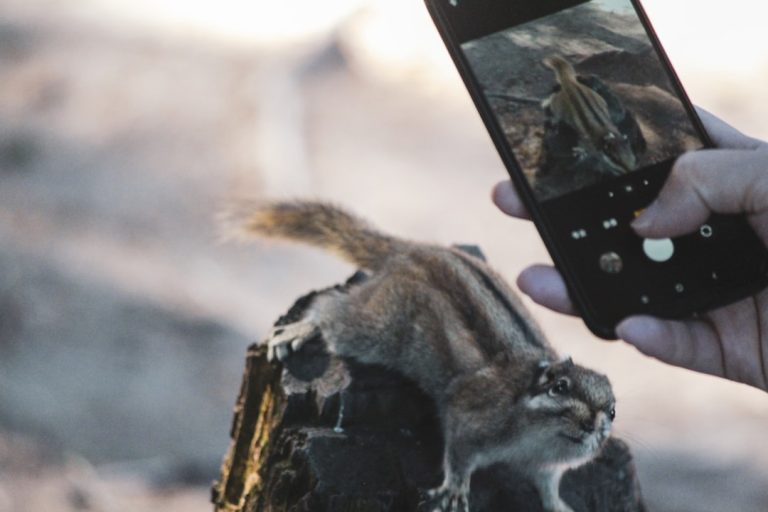 Do quintal para o topo da App Store: O fenômeno do DualShot Recorder e a revolução dos vídeos curtos