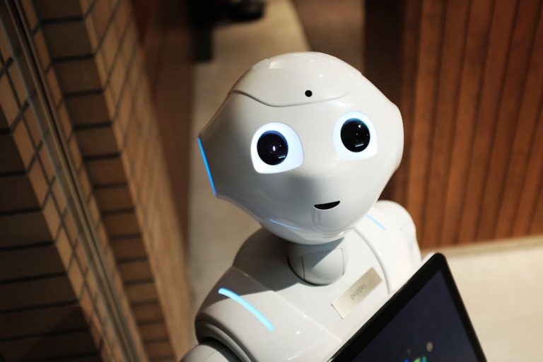 Robôs humanoides em casa? Por que a dona do Digit prefere os pés no chão (e na Bolsa)