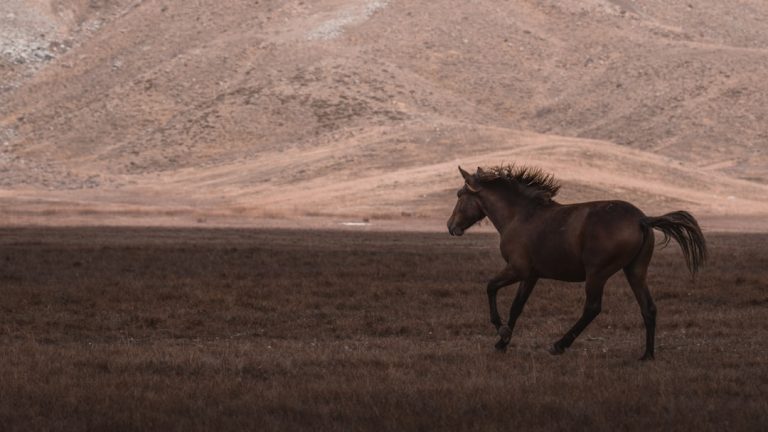 Christopher Nolan Alerta: Inteligência Artificial é um “Cavalo de Troia” Escancarado