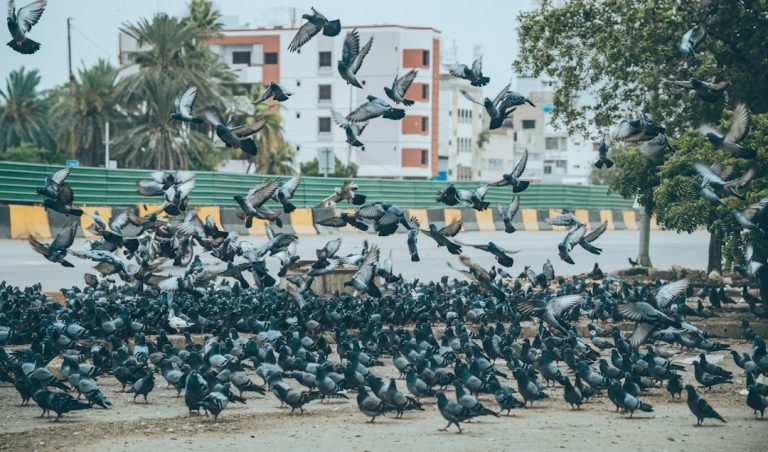 Falha na Vigilância: CEO da Flock Admite Erros Após Uso Indevido de Câmeras Conectadas por Policiais